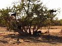 2e_jour 016
